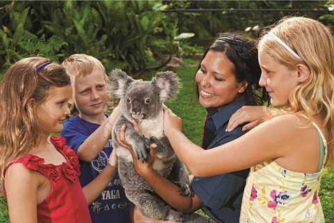 Kuranda Koala Gardens General Entry Ticket - SA Accommodation 0