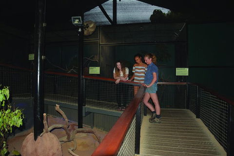 Kuranda Koala Gardens General Entry Ticket - SA Accommodation 2