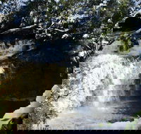 Cradle Mountain Day Tour from Launceston Including Lunch - SA Accommodation