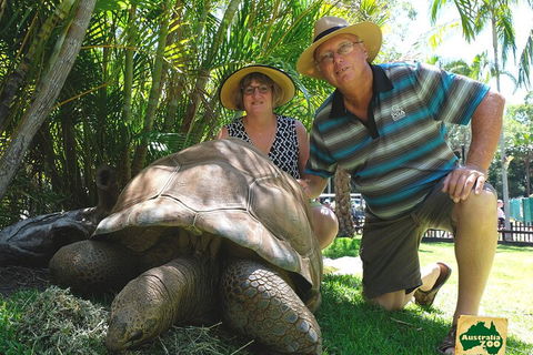 Small-Group Australia Zoo Day Trip From Brisbane - SA Accommodation 1