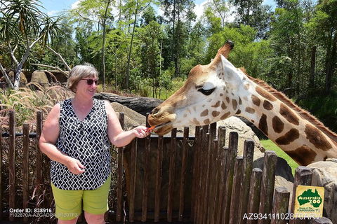 Small-Group Australia Zoo Day Trip From Brisbane - SA Accommodation 2