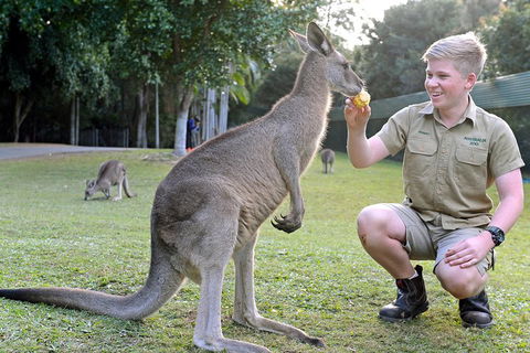Small-Group Australia Zoo Day Trip From Brisbane - SA Accommodation 4