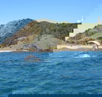 Kayaking with Dolphins in Byron Bay Guided Tour - SA Accommodation