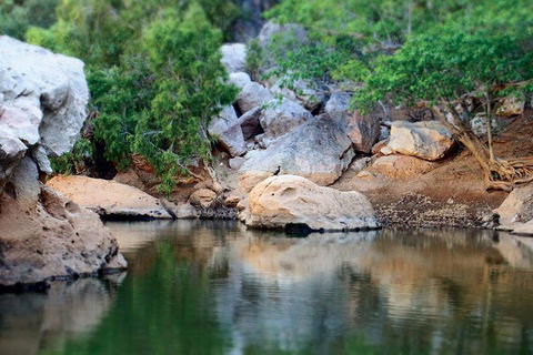 Windjana Gorge And Tunnel Creek 4WD Tour From Broome - SA Accommodation 5