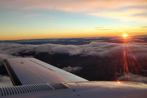 Strahan Day Trip By Air From Hobart Including A Gordon River Cruise - SA Accommodation 0