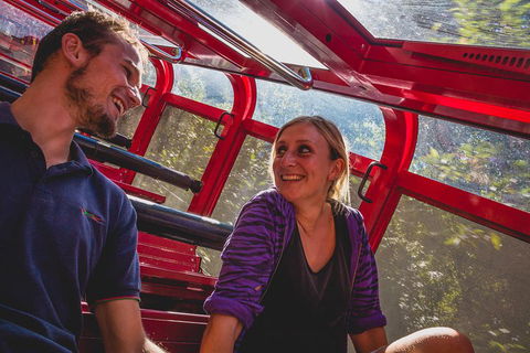 Blue Mountains Hop-on Hop-off Tour With Optional Scenic World Rides - SA Accommodation 5
