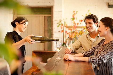 Mornington Peninsula Winery Tours With Cheese, Chocolate Tastings From Melbourne - SA Accommodation 2
