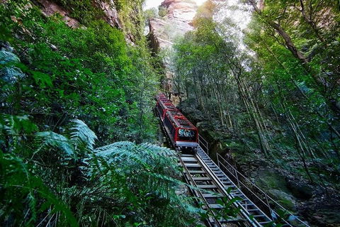 Blue Mountains Private Tour With Kangaroos & Koala Encounter - SA Accommodation 1