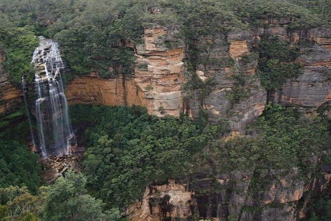 Blue Mountains Private Tour With Kangaroos & Koala Encounter - SA Accommodation 2