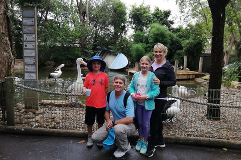 Blue Mountains Private Tour With Kangaroos & Koala Encounter - SA Accommodation 4