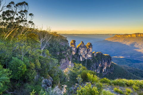 Blue Mountains Private Tour With Kangaroos & Koala Encounter - SA Accommodation 5