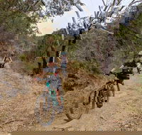 Mount Lofty Descent Bike Tour from Adelaide - SA Accommodation