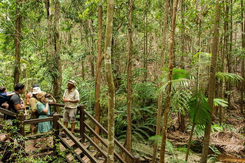 Fraser Explorer K'gari 2-Day Tour - SA Accommodation 5