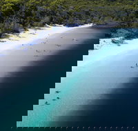 All-Inclusive Fraser Island Day Tour - SA Accommodation