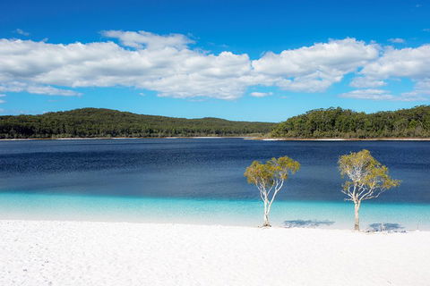 All-Inclusive Fraser Island Day Tour - SA Accommodation 3