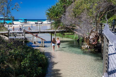 All-Inclusive Fraser Island Day Tour - SA Accommodation 4