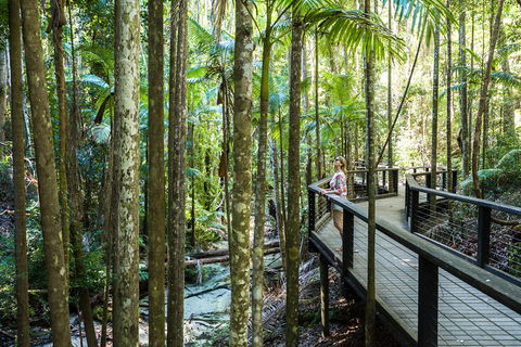 All-Inclusive Fraser Island Day Tour - SA Accommodation 5