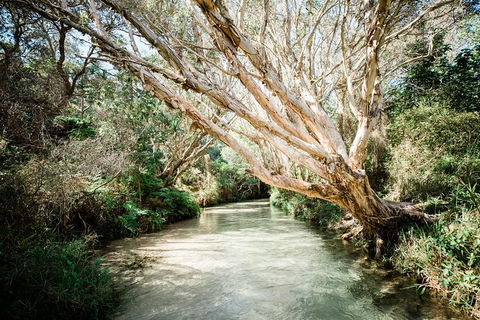 3-Day Fraser Island Resort Package - SA Accommodation 5