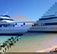Moreton Island Day Trip Kayak Snorkel  Sandboard frm Brisbane or Gold Coast - SA Accommodation