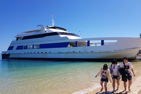 Moreton Island Day Trip (Kayak, Snorkel & Sandboard) Frm Brisbane Or Gold Coast - SA Accommodation 0