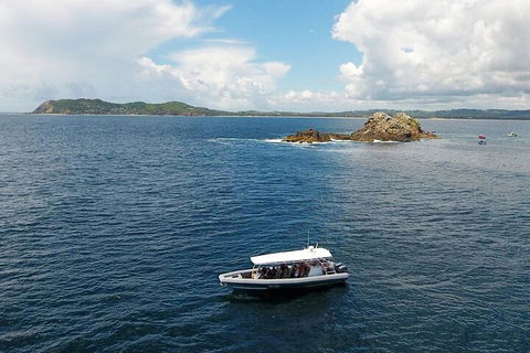 Julian Rocks Byron Bay Cruise - SA Accommodation 5