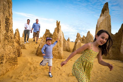 Pinnacles Sunset Dinner And Stargazing Experience A Small Group Tour - SA Accommodation 3