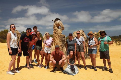 Pinnacles Sunset Dinner And Stargazing Experience A Small Group Tour - SA Accommodation 4