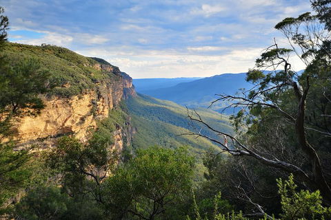 Sunset Blue Mountains Wilderness & Wildlife Tour Without The Crowds - SA Accommodation 2