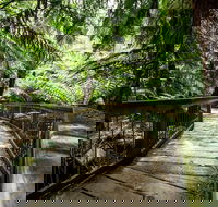 12 Apostles Eco-Friendly Great Ocean Road Iconic Adventure from Melbourne - SA Accommodation