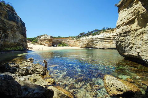 Small-Group Great Ocean Road And 12 Apostles Full-Day Tour From Melbourne - SA Accommodation 5