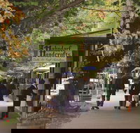 Adelaide Highlights Hahndorf  McLaren Vale Wine Tasting and Sightseeing Tour - SA Accommodation