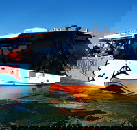Express Jet Boat Ride  Aquaduck - SA Accommodation