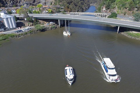 2.50 Hour Afternoon Discovery Cruise Including Cataract Gorge Departing At 3 Pm - SA Accommodation 3