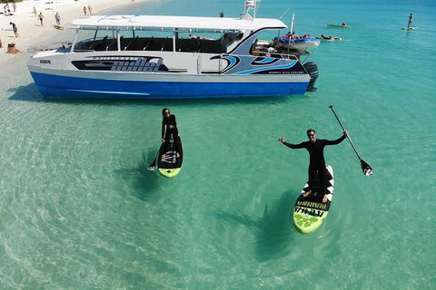 Whitsunday Bullet Day Trip - Whitehaven Beach And Snorkelling - SA Accommodation 4