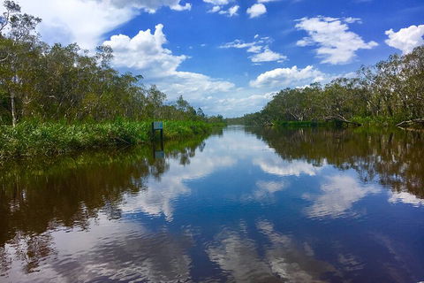 Noosa Everglades Serenity Cruise & Highlights Tour Inc. Lunch & Cruise - SA Accommodation 0