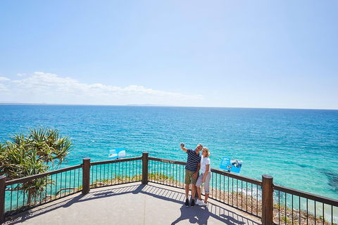 Noosa Everglades Serenity Cruise & Highlights Tour Inc. Lunch & Cruise - SA Accommodation 3