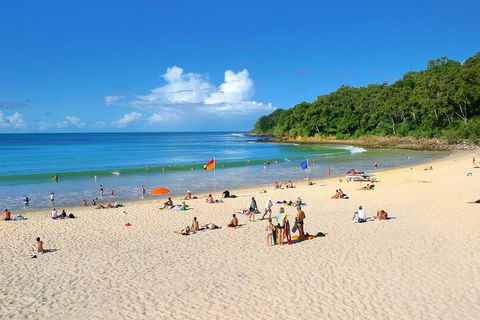 Noosa Everglades Serenity Cruise & Highlights Tour Inc. Lunch & Cruise - SA Accommodation 4