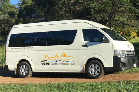 Noosa Everglades Serenity Cruise & Highlights Tour Inc. Lunch & Cruise - SA Accommodation 5