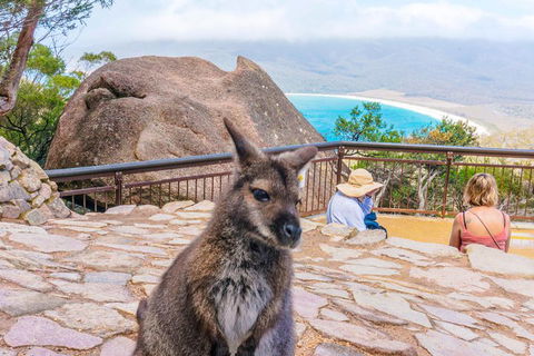 Wineglass Bay & Freycinet NP Full Day Tour From Hobart Via Richmond Village - SA Accommodation 0