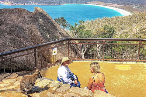 Wineglass Bay & Freycinet NP Full Day Tour From Hobart Via Richmond Village - SA Accommodation 1
