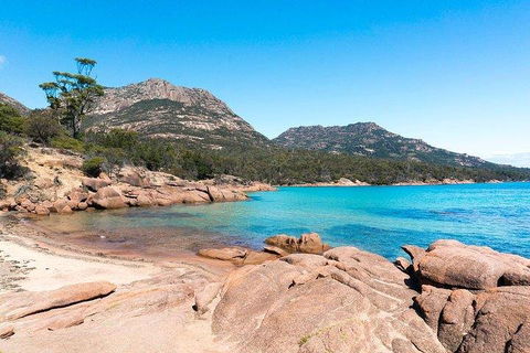 Wineglass Bay & Freycinet NP Full Day Tour From Hobart Via Richmond Village - SA Accommodation 5
