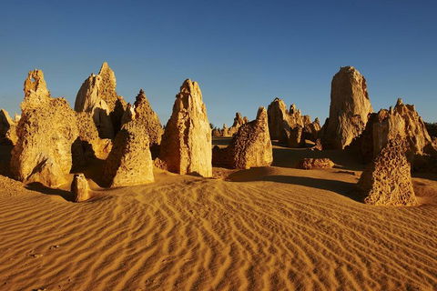 Pinnacles Day Trip From Perth Including Yanchep National Park - SA Accommodation 5