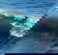 Great Ocean Road Highlights Tour - 2 Days 1 Night - SA Accommodation