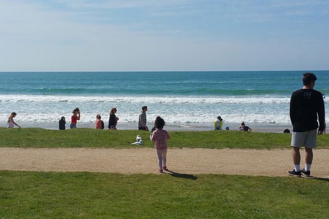 Surf Tour And Lesson - SA Accommodation 0