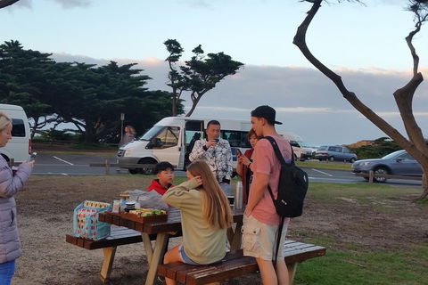 Surf Tour And Lesson - SA Accommodation 2