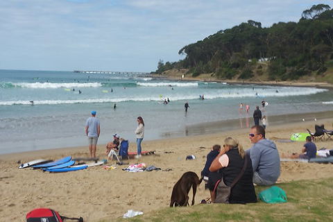 Surf Tour And Lesson - SA Accommodation 5
