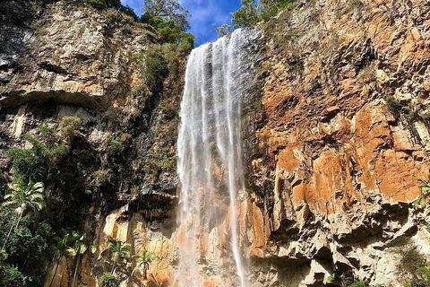 Springbrook Full Day Tour - SA Accommodation 2