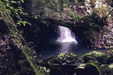 Springbrook Full Day Tour - SA Accommodation 3