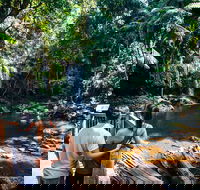 Aquaduck  Your choice of Gold Coast Rainforest Tour - SA Accommodation