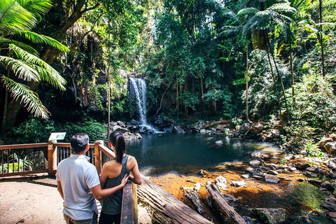 Aquaduck & Your Choice Of Gold Coast Rainforest Tour - SA Accommodation 0